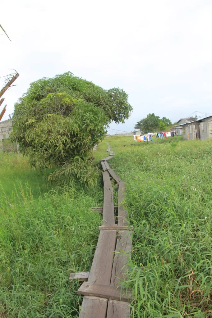 [Gabon - Île Mandji] L’urgence de construire de vraies routes et passerelles