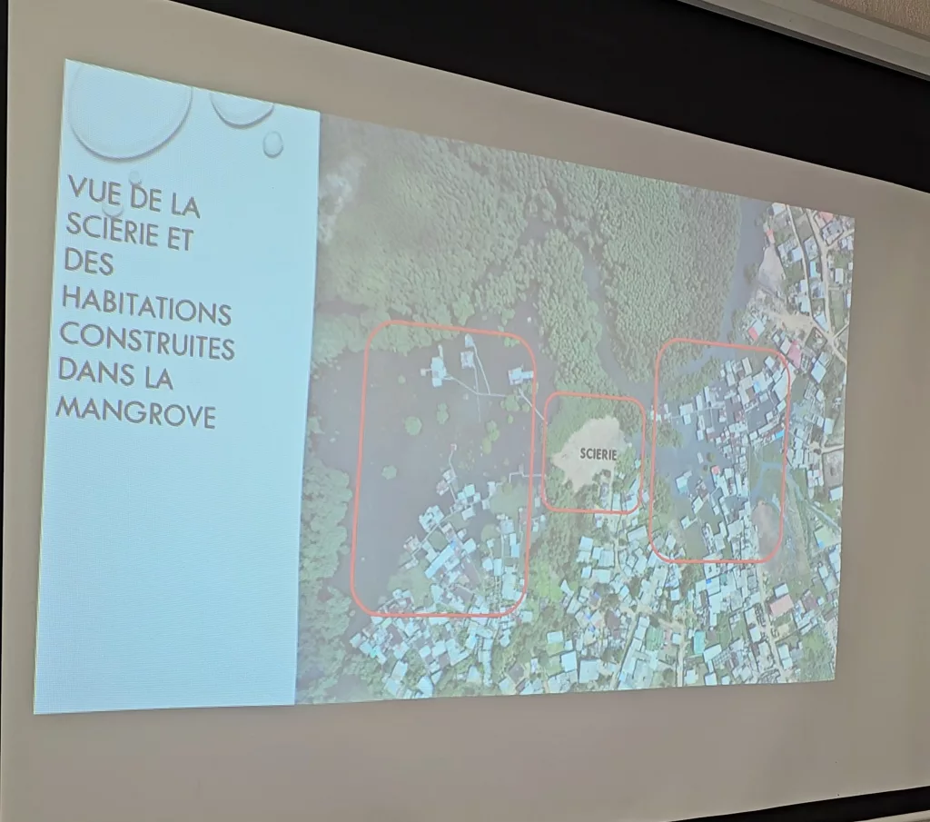 [Gabon : Environnement] Des mesures d'urgence en vue pour sauver la mangrove de Mindoubé