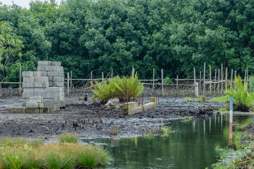 [Gabon : Destruction de la mangrove à Port-Gentil] : Le ministre Mays Mouissi tape du poing sur la table