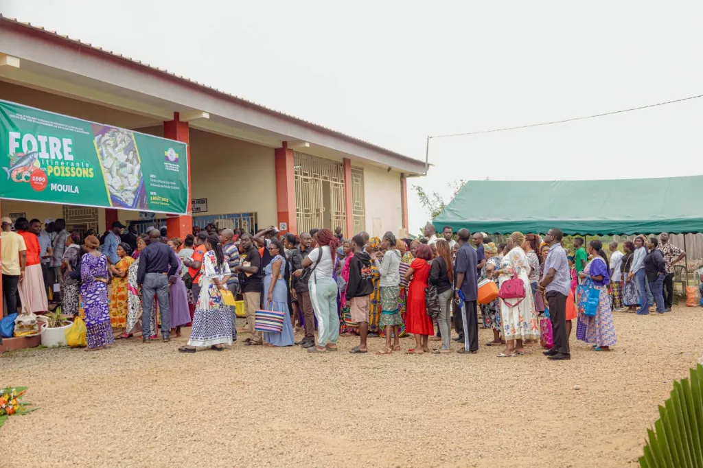 Le poisson à petit prix au Gabon : un levier pour l’économie bleue 2 Le poisson à petit prix au Gabon : un levier pour l’économie bleue