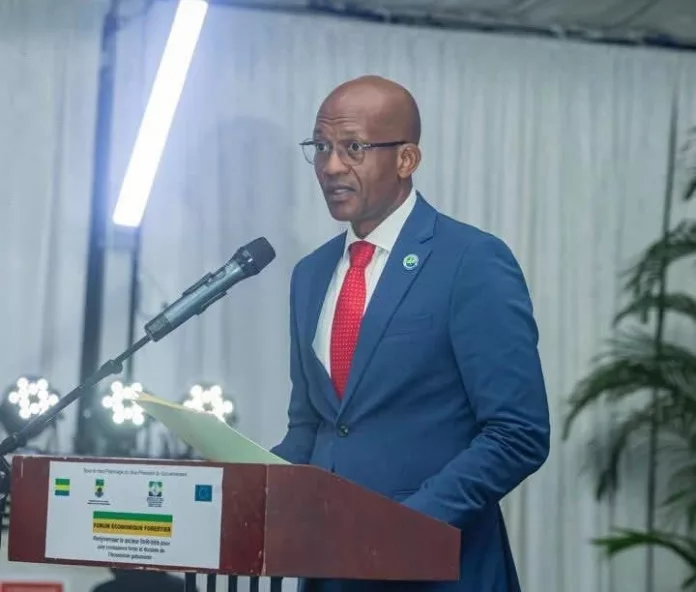 Les directives 2025-2030 entendent faire du bois un moteur d'un développement durable au Gabon.