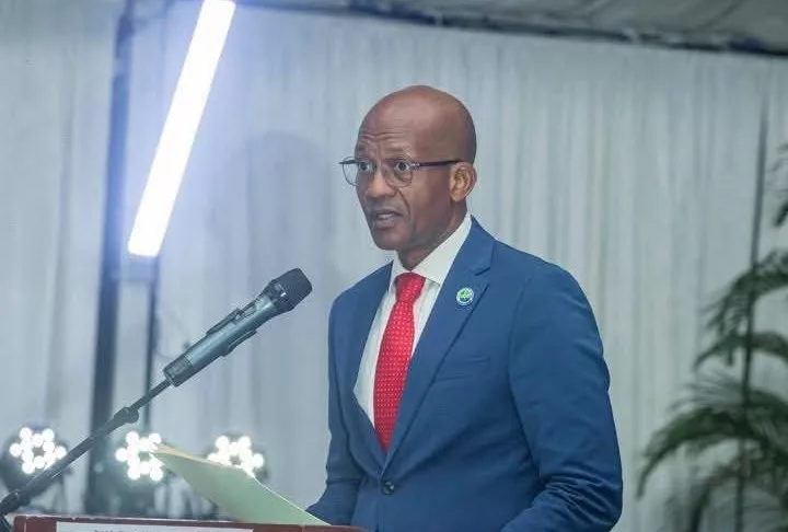 Les directives 2025-2030 entendent faire du bois un moteur d'un développement durable au Gabon.