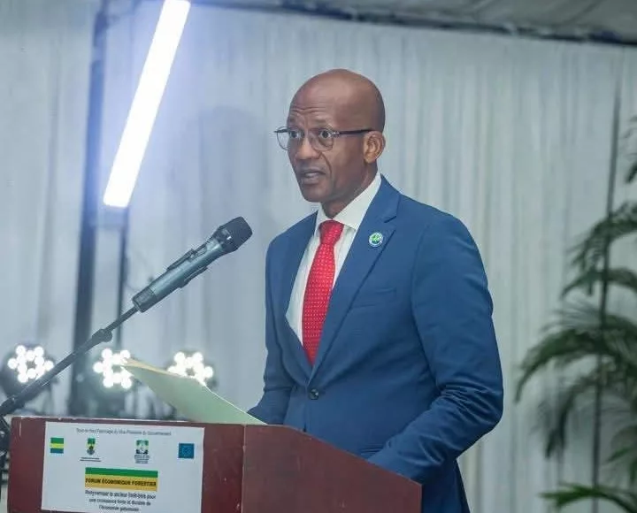 Les directives 2025-2030 entendent faire du bois un moteur d'un développement durable au Gabon.