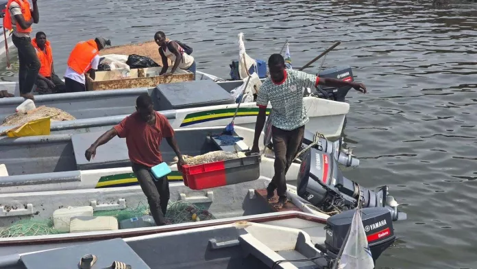 Les pêcheurs artisanaux débarquent leur prise du jour.