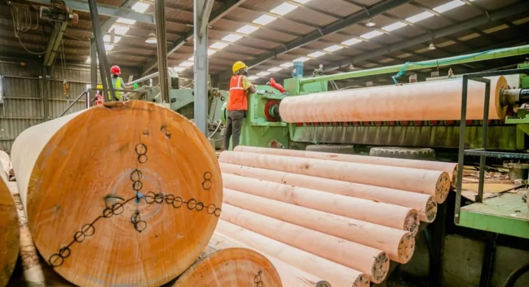 Plusieurs entreprises du secteur forestier viennent d'être suspendues faute de paiement des taxes.