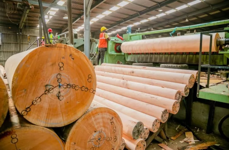 Plusieurs entreprises du secteur forestier viennent d'être suspendues faute de paiement des taxes.