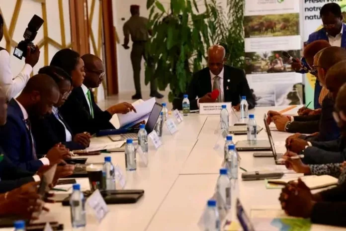 5ᵉ Comité de pilotage du PFP, les ministères des Eaux et Forêts et de la Planification unis autour du lancement de Gabon Infini.