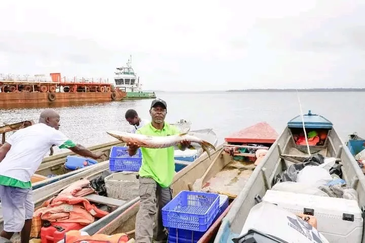 Le Capao, moteur d’emplois locaux et de développement communautaire à Omboué 1 L'inauguration du Centre d’Appui à la Pêche Artisanale d’Omboué (Capao) est un atout de développement économique et social pour les communautés locales.