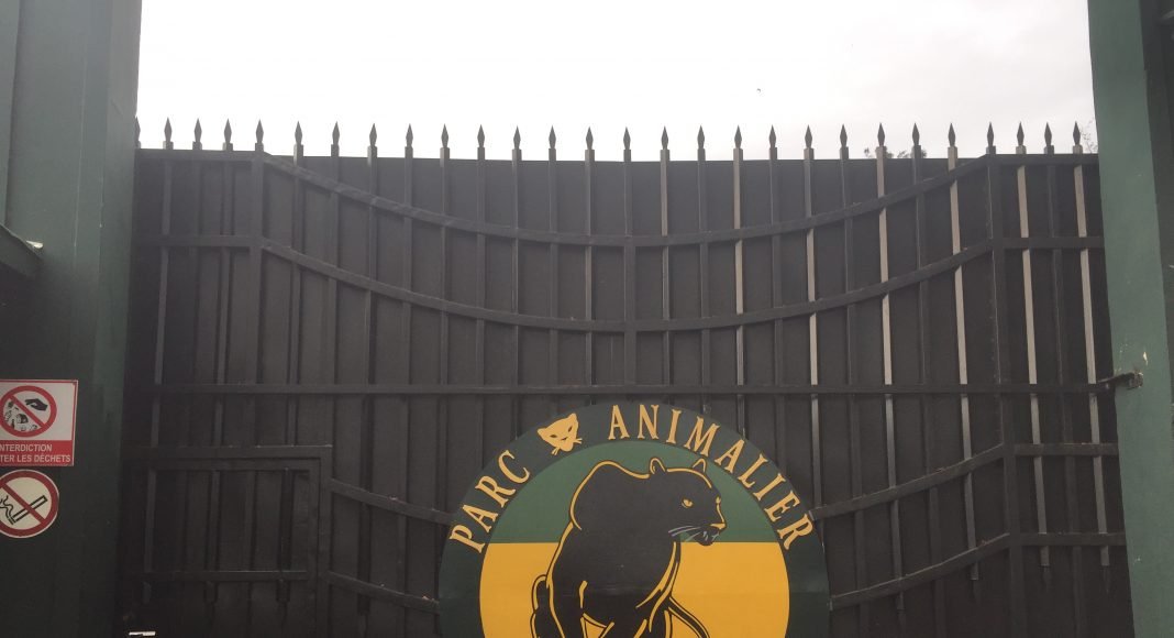 Selon le parc, aucune anomalie n’a été enregistrée ni dans les enclos ni au niveau des systèmes de sécurité.