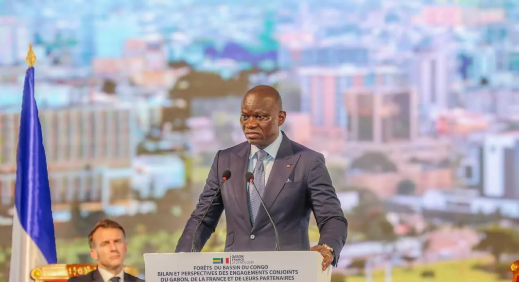 Gabon et France : appel commun pour la valorisation durable des forêts du Bassin du Congo