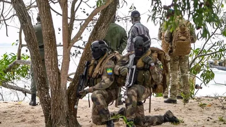 Gabon-Belgique : « Tropical Storm V » cimente dix ans d'axe militaire stratégique