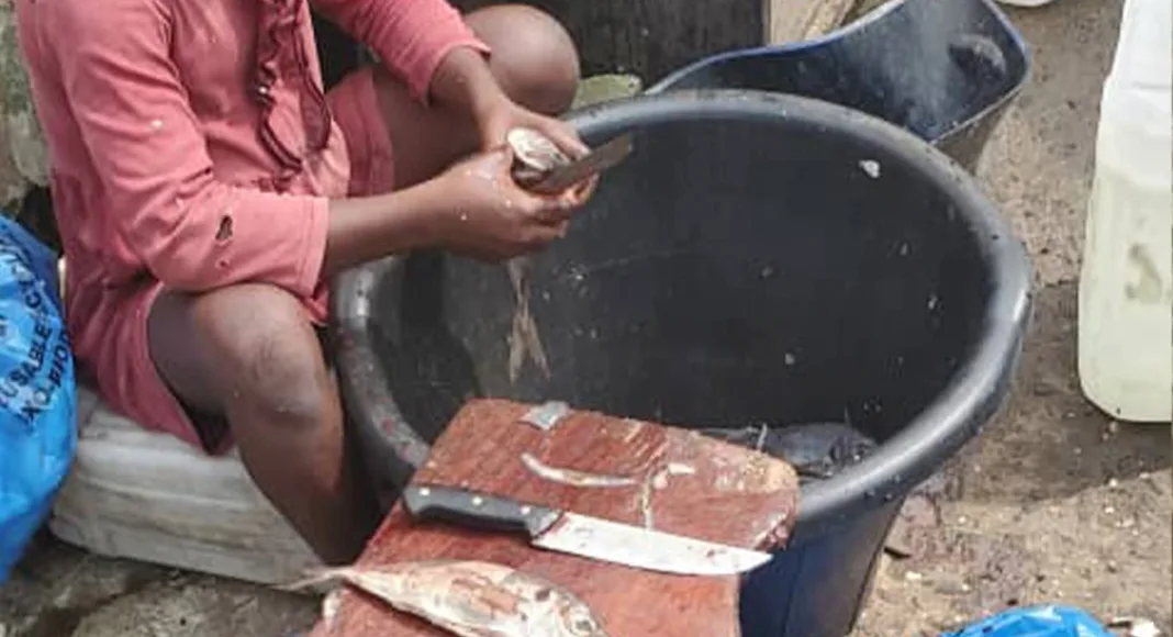 Matériel inadapté et absence de certificats médicaux, des manquements relevés par l’AGASA.