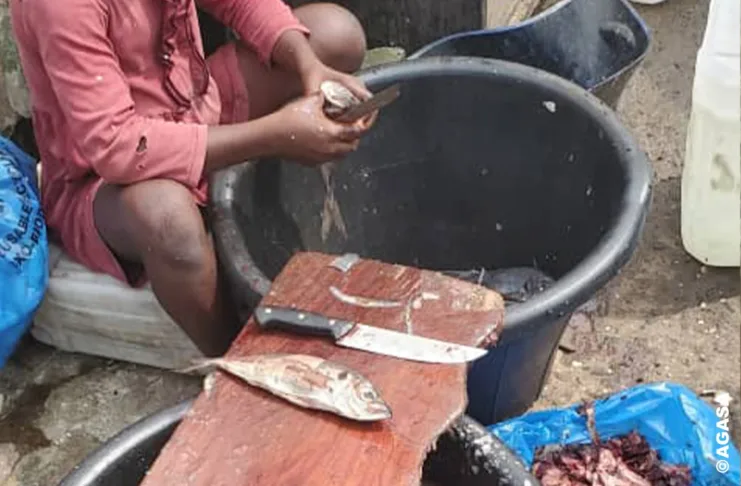 Matériel inadapté et absence de certificats médicaux, des manquements relevés par l’AGASA.