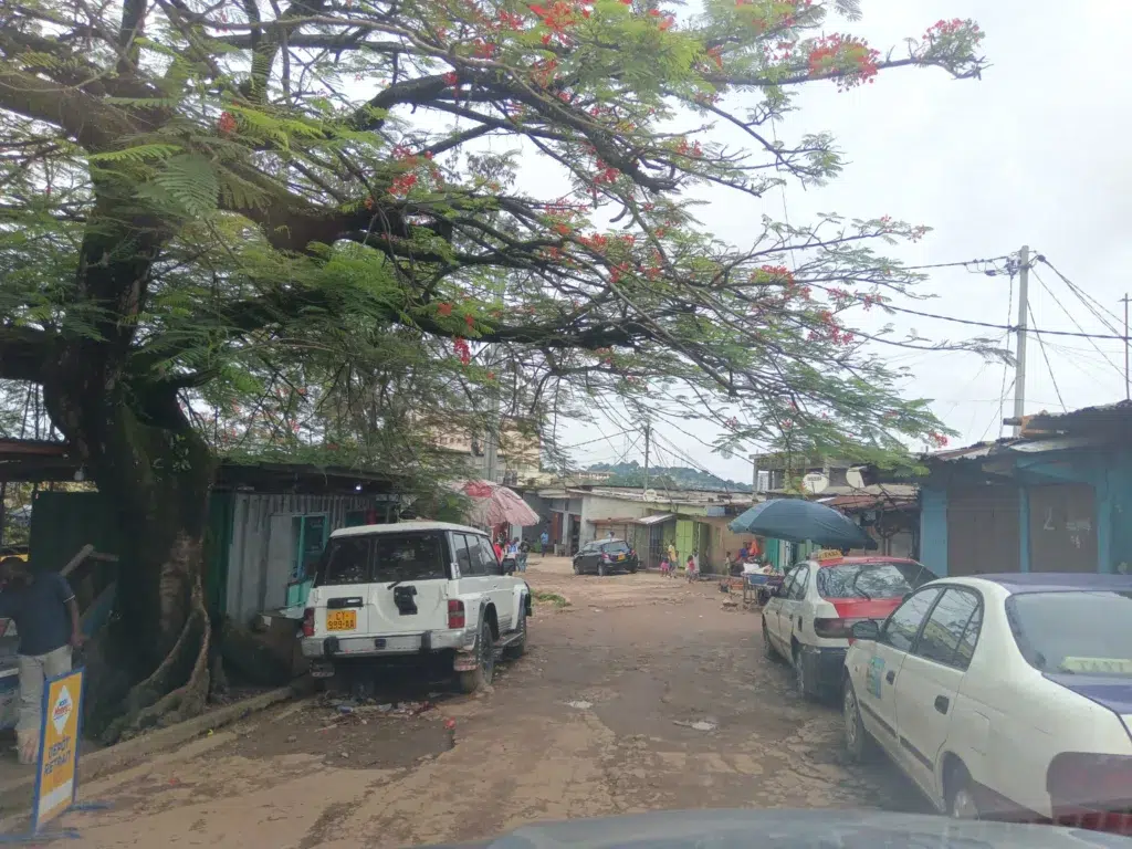 Le Juvénat de Rio : un sanctuaire d'excellence dans un siège de chaos urbain