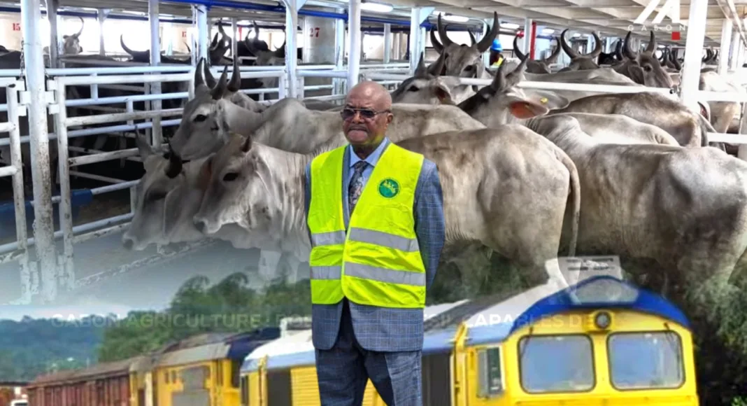 Sous la direction du Dr Adrien Moukabi, l'ARTF traverse une zone de turbulences marquée par des accusations d'opacité managériale et une absence de vision stratégique