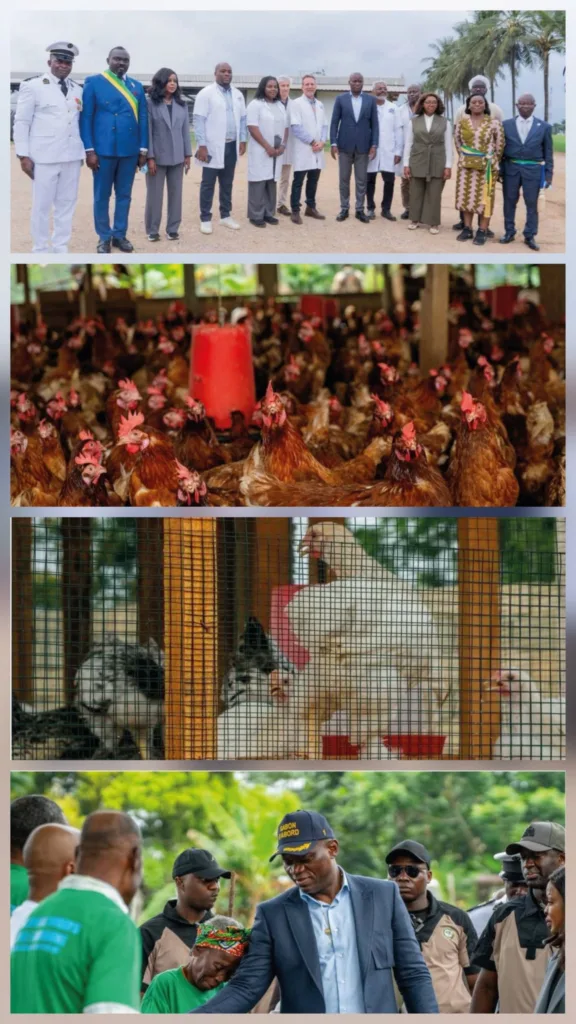 Gabon : la problématique de l'autosuffisance alimentaire, un défi pour la Ve République