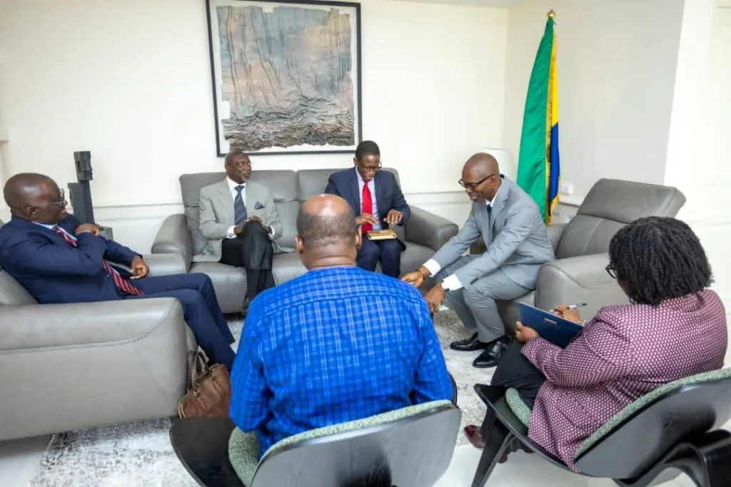 Aviculture : le Gabon affine avec la BAD sa stratégie avant l’arrêt des importations de poulet 1 Vue d’ensemble de la rencontre entre les autorités gabonaises et les représentants de la BAD, consacrée aux opérations en cours et aux projets structurants.