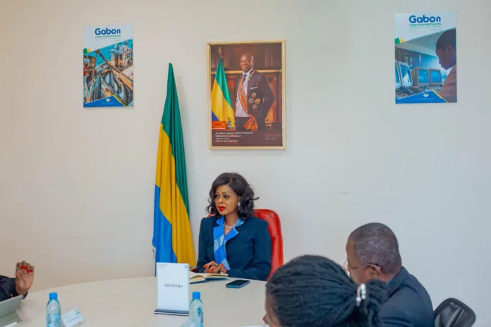 Zenaba Gninga Chaning et les membres du PNUD lors de leur séance de travail.