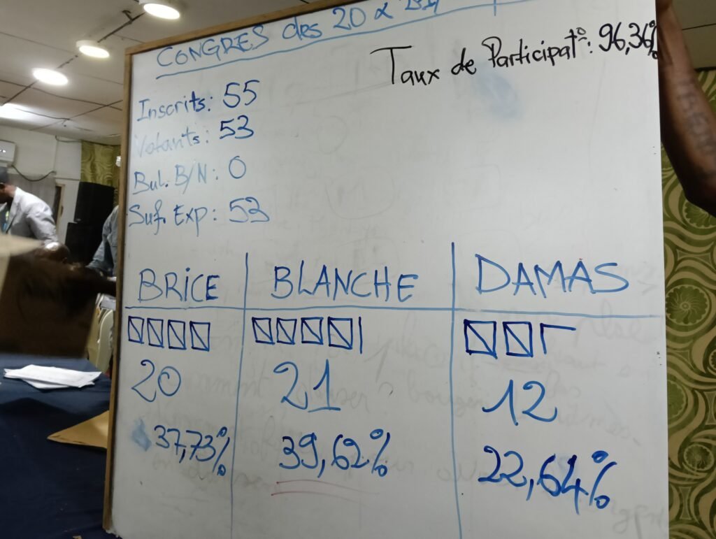 Gabon : Estelle Blanche Lepanda prend les rênes de la COSYGA 2 Estelle Blanche Lepanda élue avec 37,73% face à Brice et Damas Masselé.