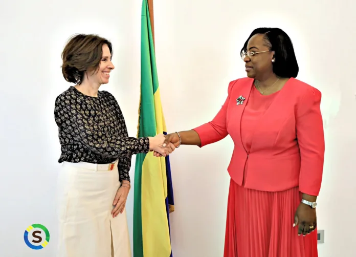 La présidente du Sénat, Huguette Yvonne Nyana-Ekoume épouse Awori Onanga, recevant en audience l’ambassadrice de l’Union européenne au Gabon, Cécile Abadie.