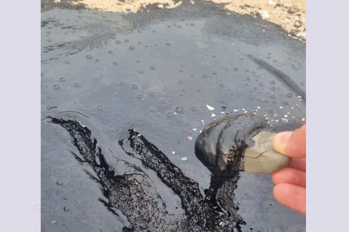 TotalEnergies EP Gabon : Responsabilité et réactivité au cœur de l’incident de l’Île Mandji