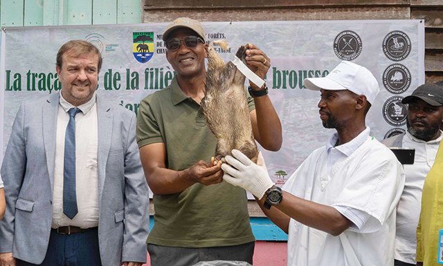Une innovation technologique qui devra encore prouver son efficacité sur le terrain.