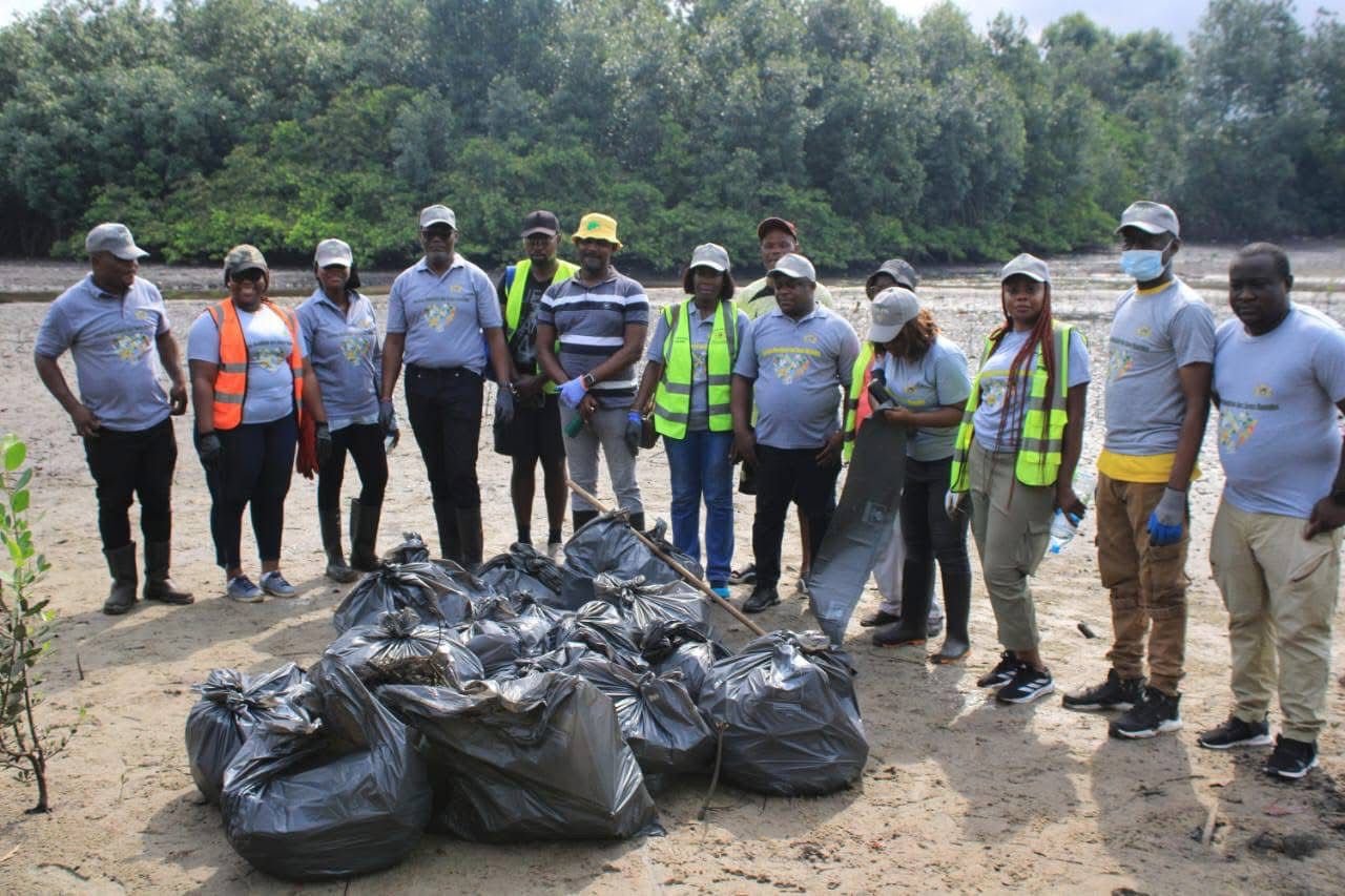 En débarrassant la mangrove de ses déchets, l’opération contribue à restaurer son rôle écologique.