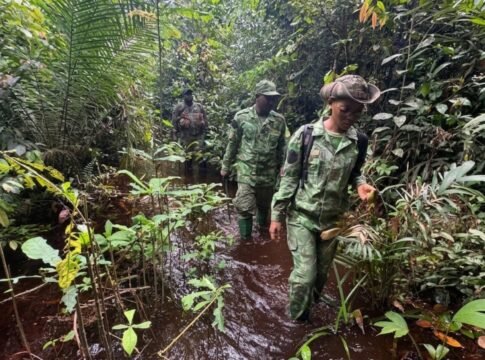 Au cœur des parcs nationaux, les écogardes de l’ANPN : sentinelles dévouées de la biodiversité gabonaise.