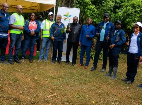 un partenariat stratégique relance la plantation de café à Okondja