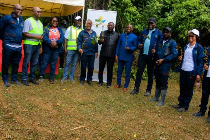 un partenariat stratégique relance la plantation de café à Okondja