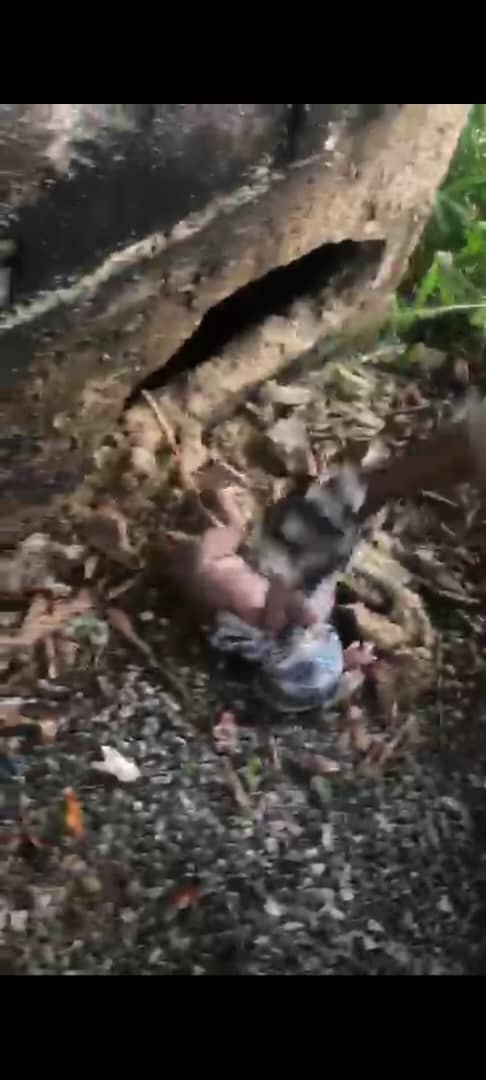 Un nourrisson, récemment retrouvé vivant après avoir été jeté dans une fosse de toilettes, a été secouru in extremis par des riverains alertés par ses pleurs. Une scène bouleversante devenue le symbole d’une détresse sociale grandissante au Gabon.