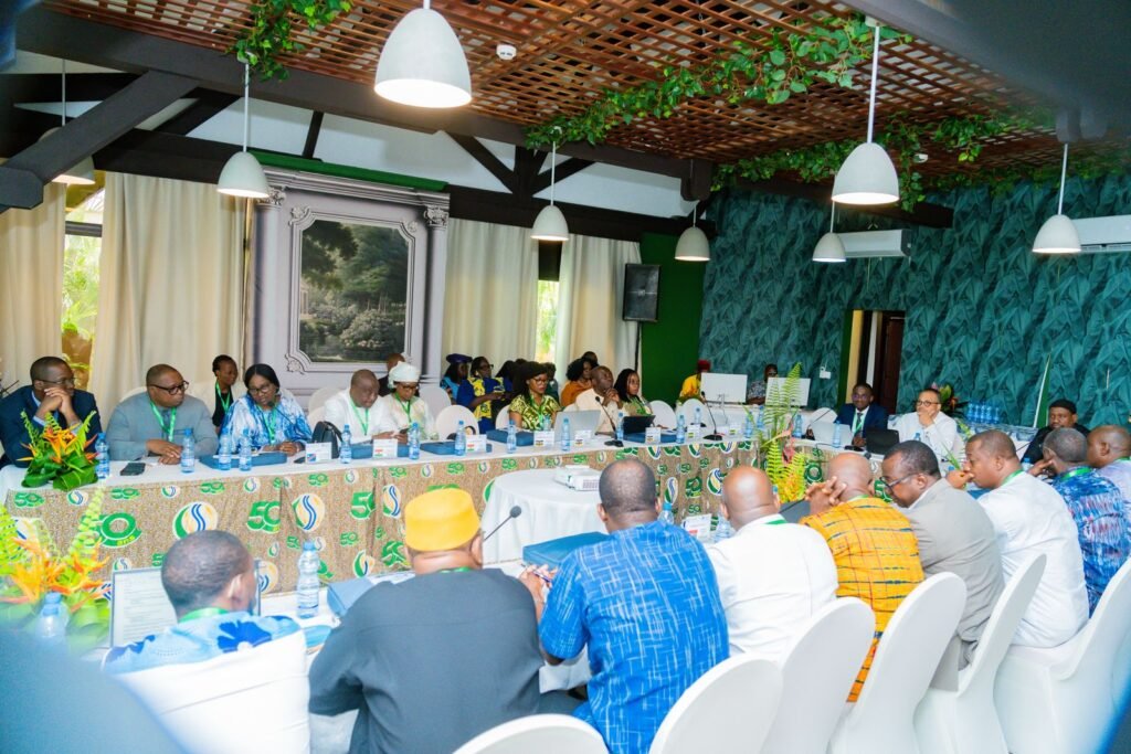Sécurité sociale : L’IAPRP amorce sa mue institutionnelle et financière depuis Libreville 2 3- Vue d’ensemble de la plénière