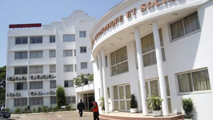 Gabon L’iboga, cet or vert spirituel qui échappe encore à l’économie nationale