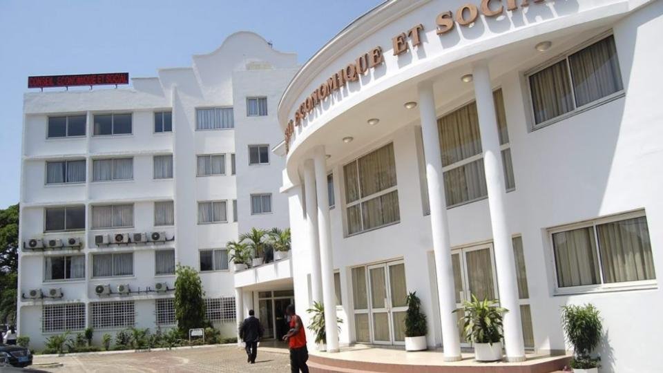 Gabon L’iboga, cet or vert spirituel qui échappe encore à l’économie nationale