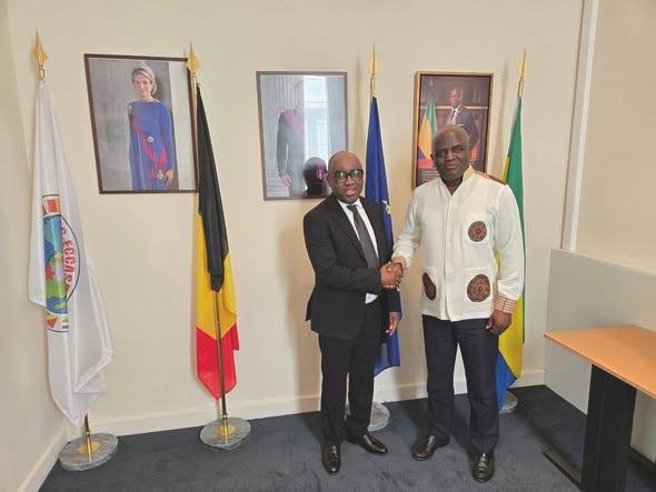 Son Excellence Eudes Régis Immongault recevant l’expert international Sosthène Nguia.