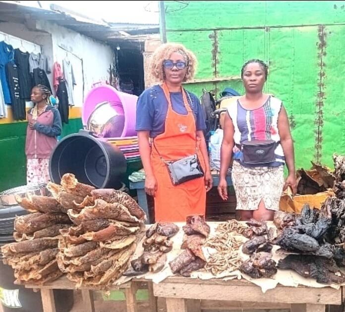 Meyo Charlette (à droite) et Mawouili Mboumba Laetitia (à gauche), deux commerçantes venues de Port-Gentil à Makokou pour faire découvrir leurs poissons fumés et conquérir un nouveau marché à l’occasion de la Fête de la Libération.