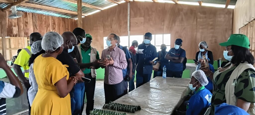 Gabon : L’or blanc du projet IBSA pour propulser la filière manioc 1 Des experts sud-africains transmettent leur savoir-faire aux professionnels gabonais du manioc.