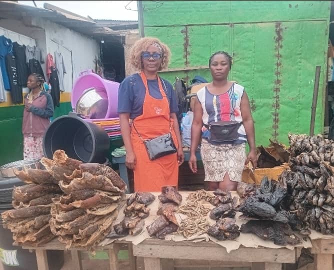 Meyo Charlette (à droite) et Mawouili Mboumba Laetitia (à gauche), deux commerçantes venues de Port-Gentil à Makokou pour faire découvrir leurs poissons fumés et conquérir un nouveau marché à l’occasion de la Fête de la Libération.