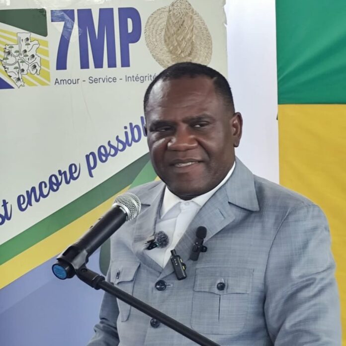 joël ngoueneni ndzengouma