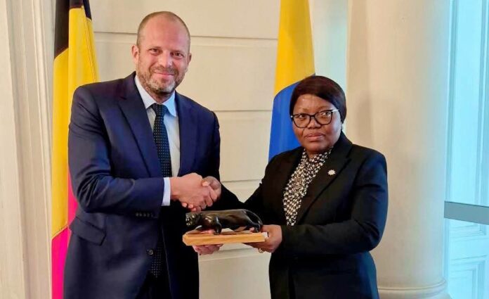 Brigitte Onkanowa et son homologue belge, Theo Francken.